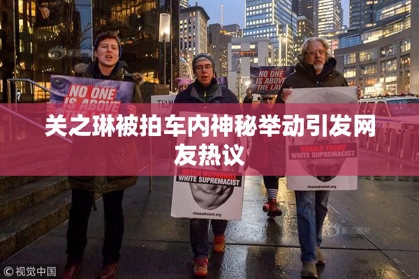 关之琳被拍车内神秘举动引发网友热议