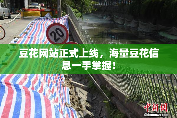 豆花网站正式上线，海量豆花信息一手掌握！