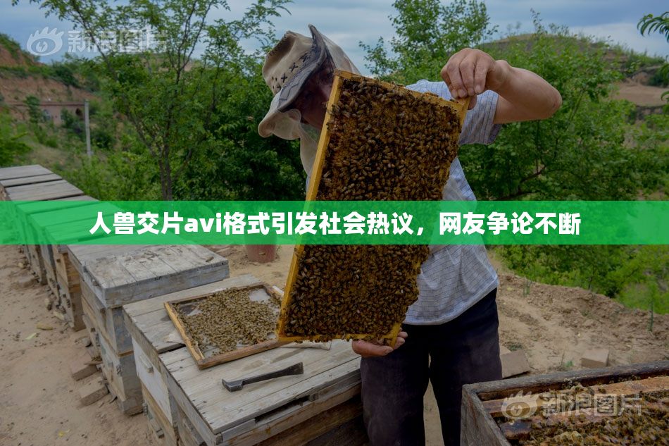 人兽交片avi格式引发社会热议，网友争论不断
