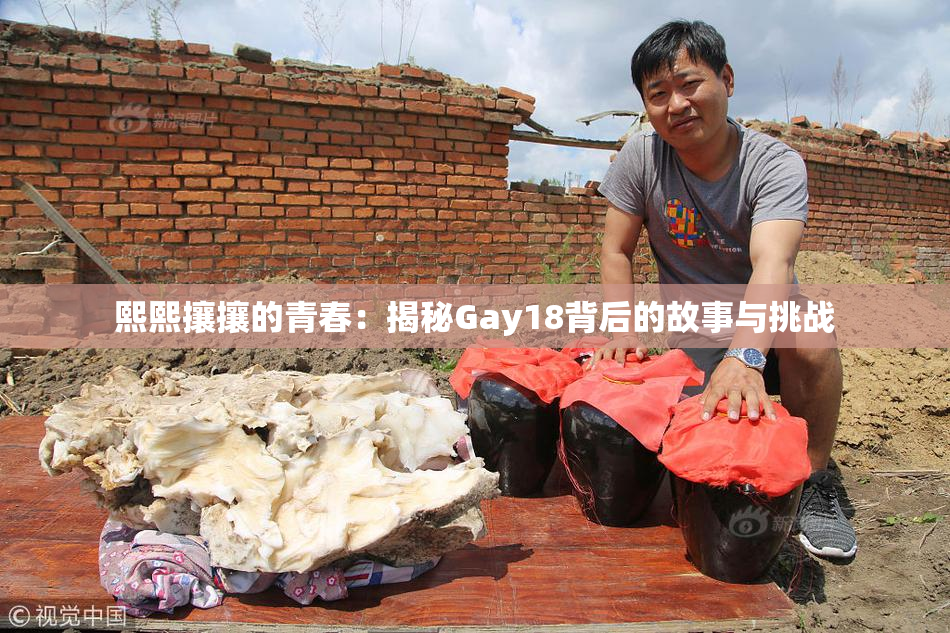 熙熙攘攘的青春：揭秘Gay18背后的故事与挑战