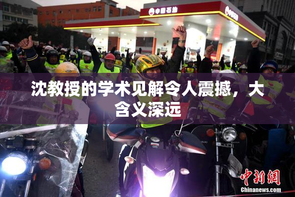 沈教授的学术见解令人震撼，大含义深远