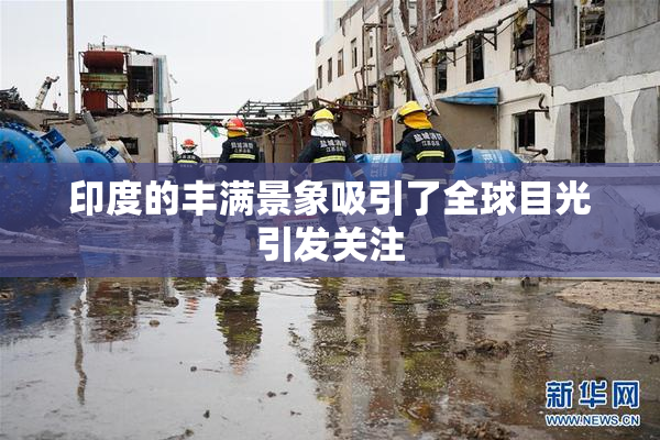 印度的丰满景象吸引了全球目光引发关注