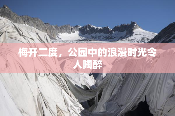 梅开二度，公园中的浪漫时光令人陶醉