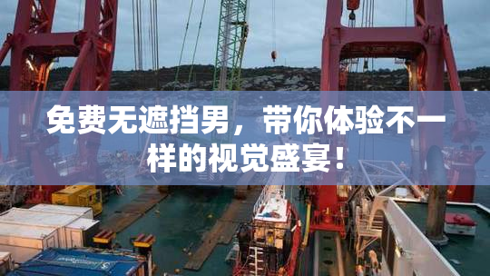免费无遮挡男，带你体验不一样的视觉盛宴！