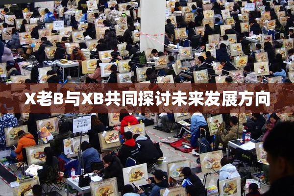 X老B与XB共同探讨未来发展方向