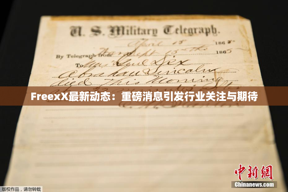 FreexX最新动态：重磅消息引发行业关注与期待