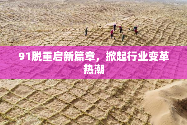 91脱重启新篇章，掀起行业变革热潮