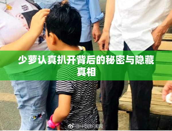 少萝认真扒开背后的秘密与隐藏真相
