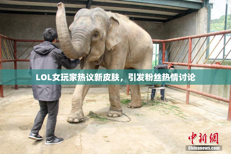 LOL女玩家热议新皮肤，引发粉丝热情讨论