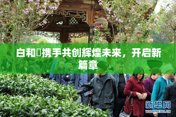 白和晄携手共创辉煌未来，开启新篇章