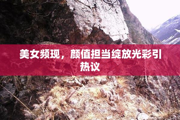 美女频现，颜值担当绽放光彩引热议