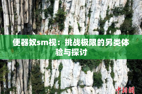 便器奴sm视：挑战极限的另类体验与探讨