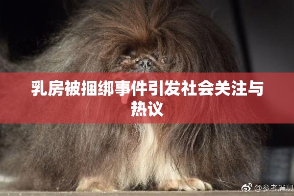 乳房被捆绑事件引发社会关注与热议