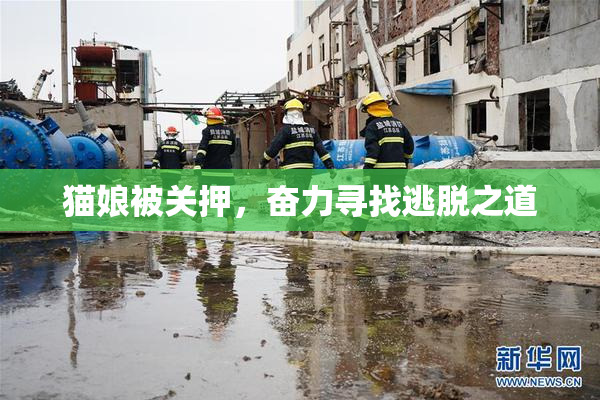 猫娘被关押，奋力寻找逃脱之道