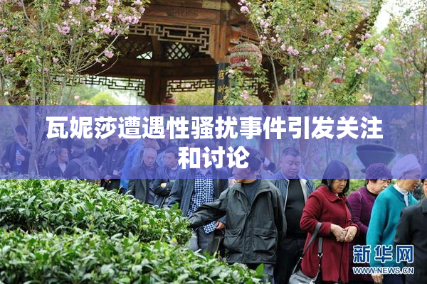 瓦妮莎遭遇性骚扰事件引发关注和讨论
