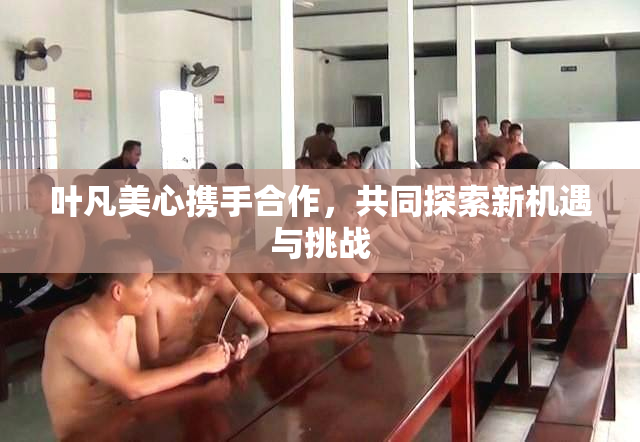 叶凡美心携手合作，共同探索新机遇与挑战