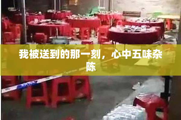 我被送到的那一刻，心中五味杂陈