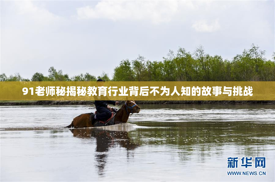 91老师秘揭秘教育行业背后不为人知的故事与挑战