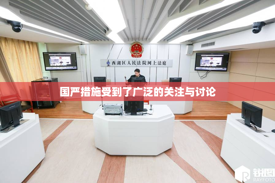 国严措施受到了广泛的关注与讨论
