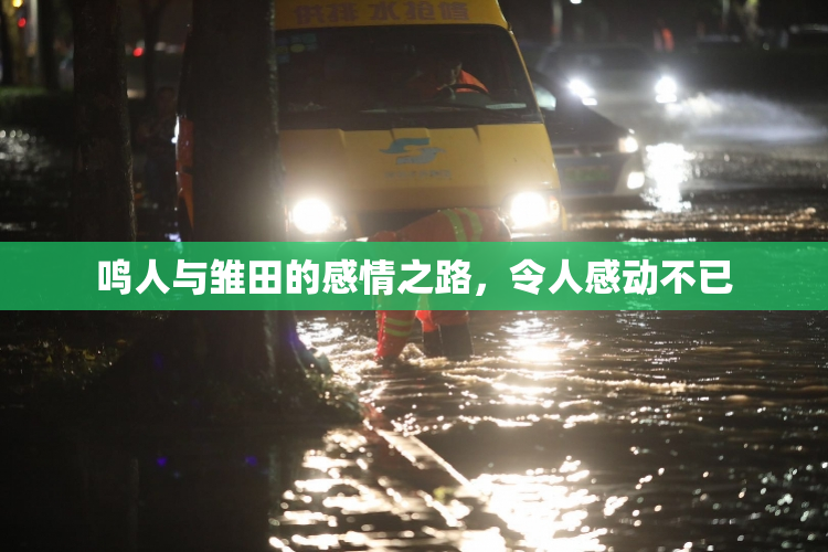 鸣人与雏田的感情之路，令人感动不已