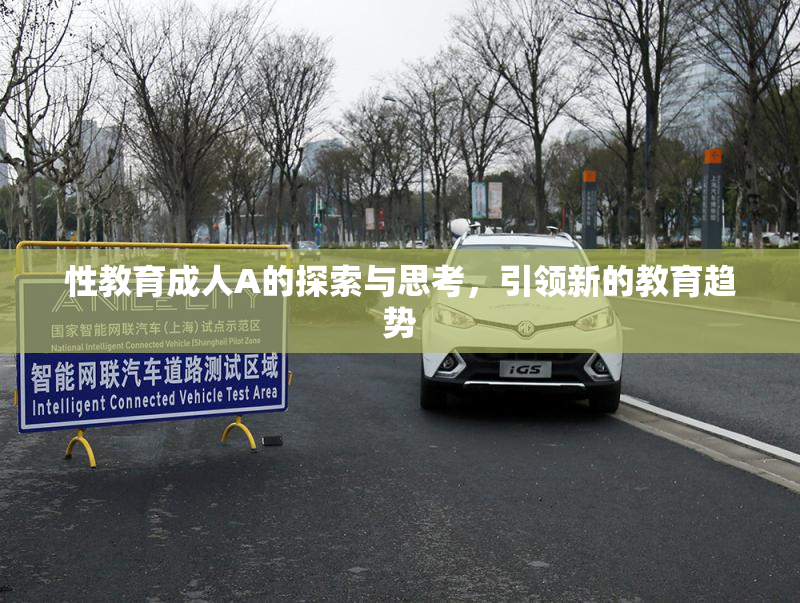 性教育成人A的探索与思考，引领新的教育趋势