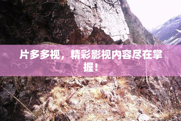 片多多视，精彩影视内容尽在掌握！