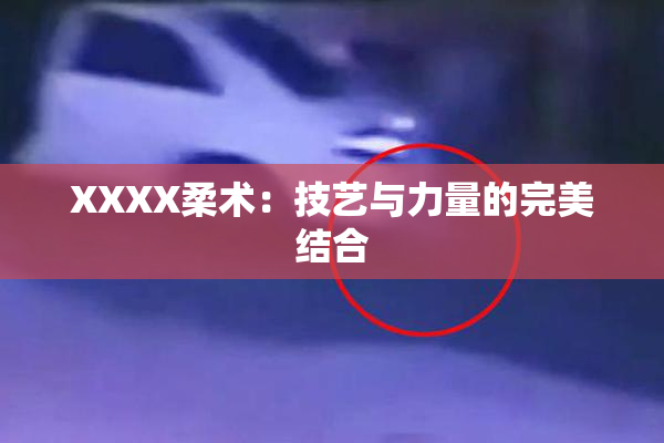 XXXX柔术：技艺与力量的完美结合