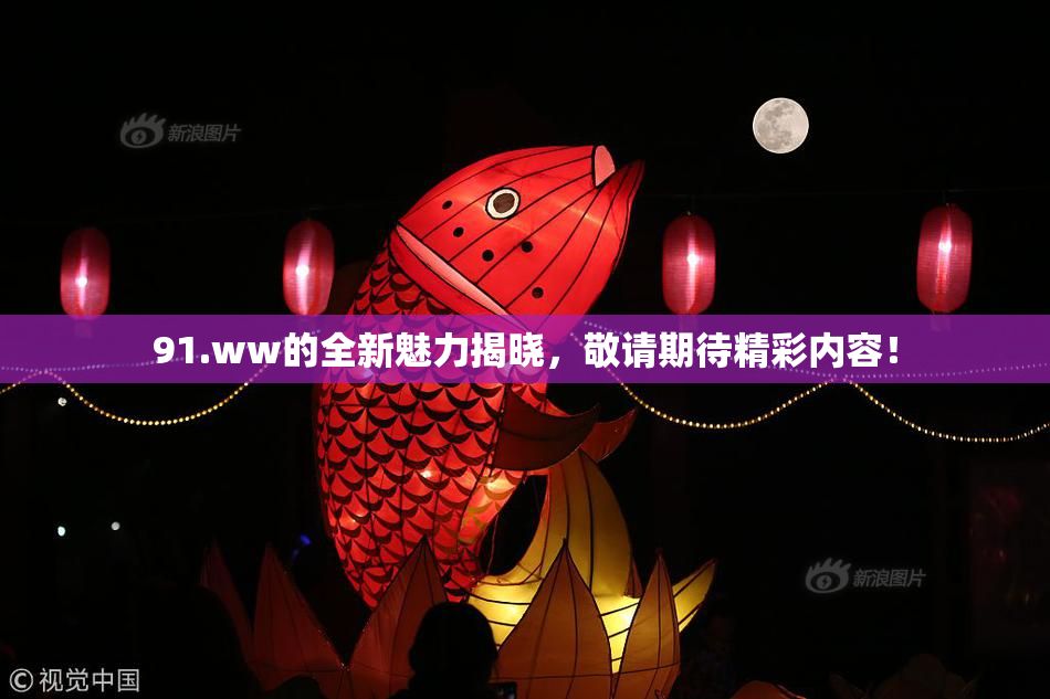 91.ww的全新魅力揭晓，敬请期待精彩内容！