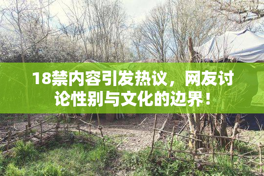 18禁内容引发热议，网友讨论性别与文化的边界！