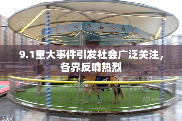 9.1重大事件引发社会广泛关注，各界反响热烈