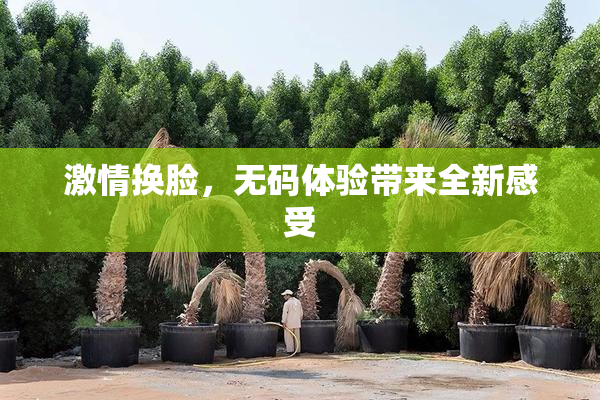 激情换脸，无码体验带来全新感受