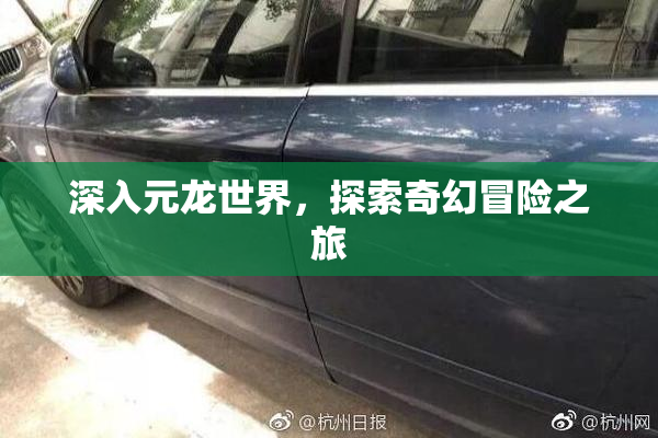 深入元龙世界，探索奇幻冒险之旅