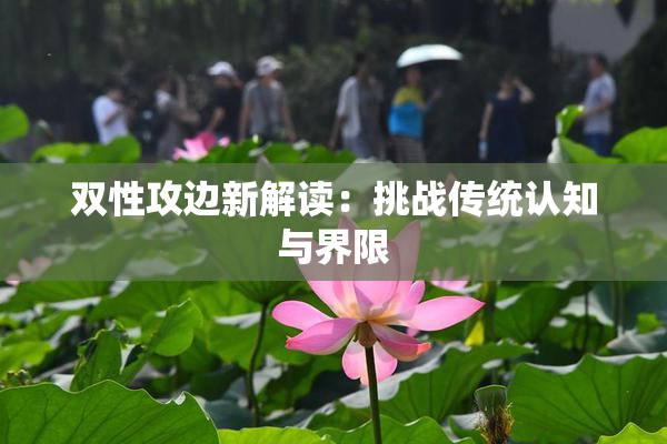 双性攻边新解读：挑战传统认知与界限
