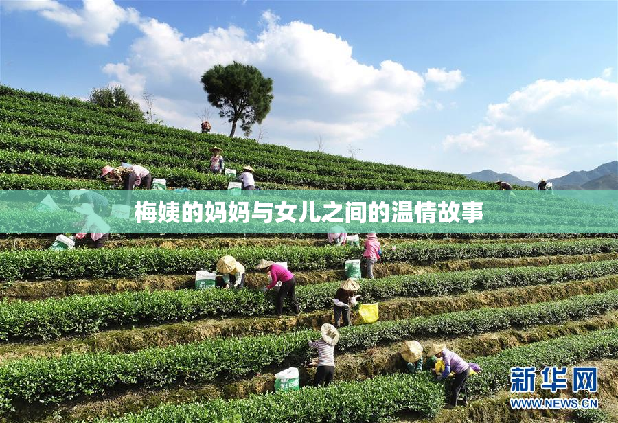 梅姨的妈妈与女儿之间的温情故事