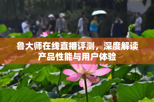 鲁大师在线直播评测，深度解读产品性能与用户体验