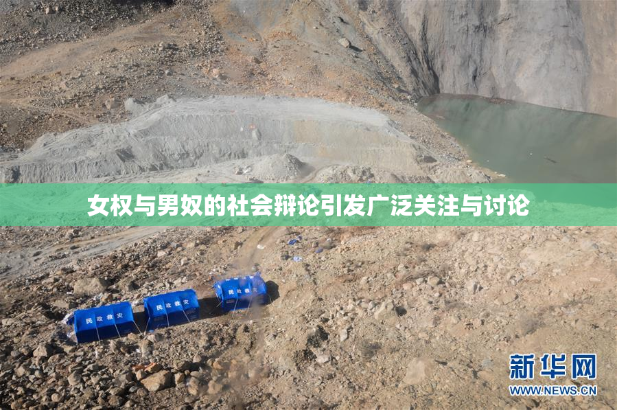女权与男奴的社会辩论引发广泛关注与讨论