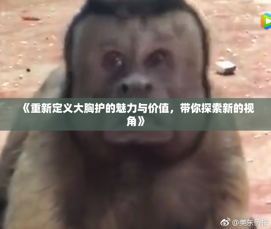 《重新定义大胸护的魅力与价值，带你探索新的视角》