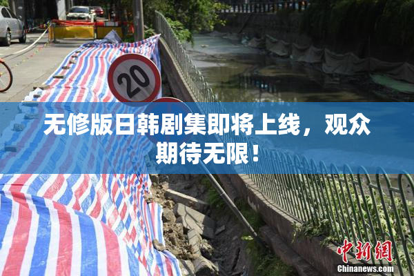 无修版日韩剧集即将上线，观众期待无限！