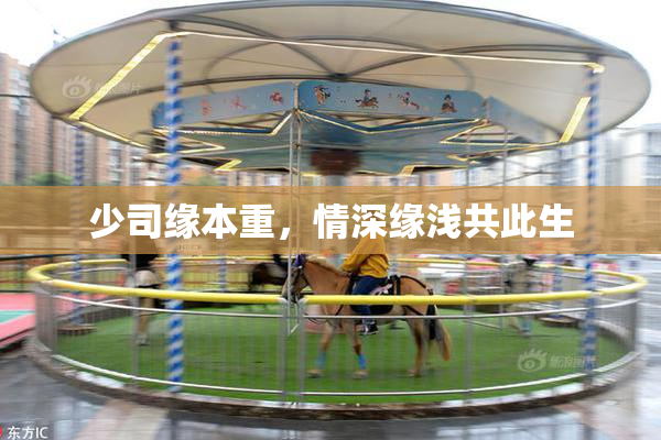 少司缘本重，情深缘浅共此生