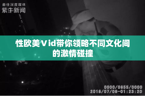 性欧美Ⅴid带你领略不同文化间的激情碰撞