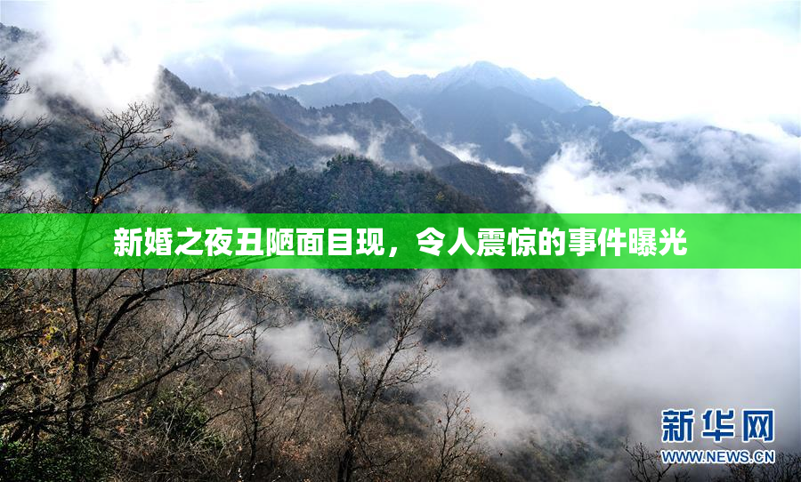 新婚之夜丑陋面目现，令人震惊的事件曝光