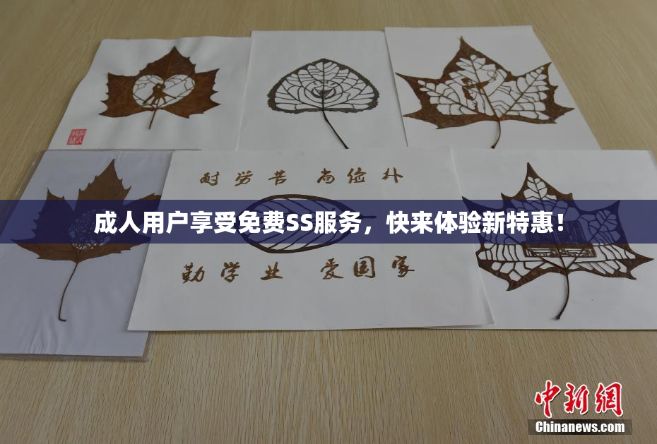 成人用户享受免费SS服务，快来体验新特惠！