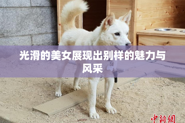 光滑的美女展现出别样的魅力与风采