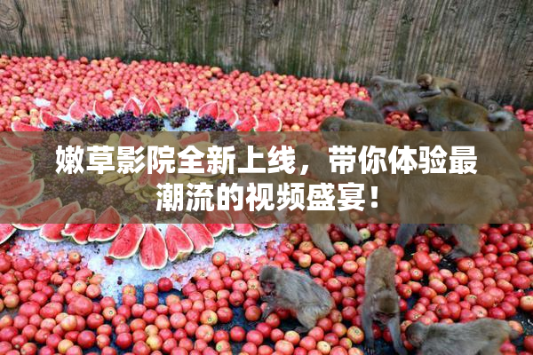 嫩草影院全新上线，带你体验最潮流的视频盛宴！