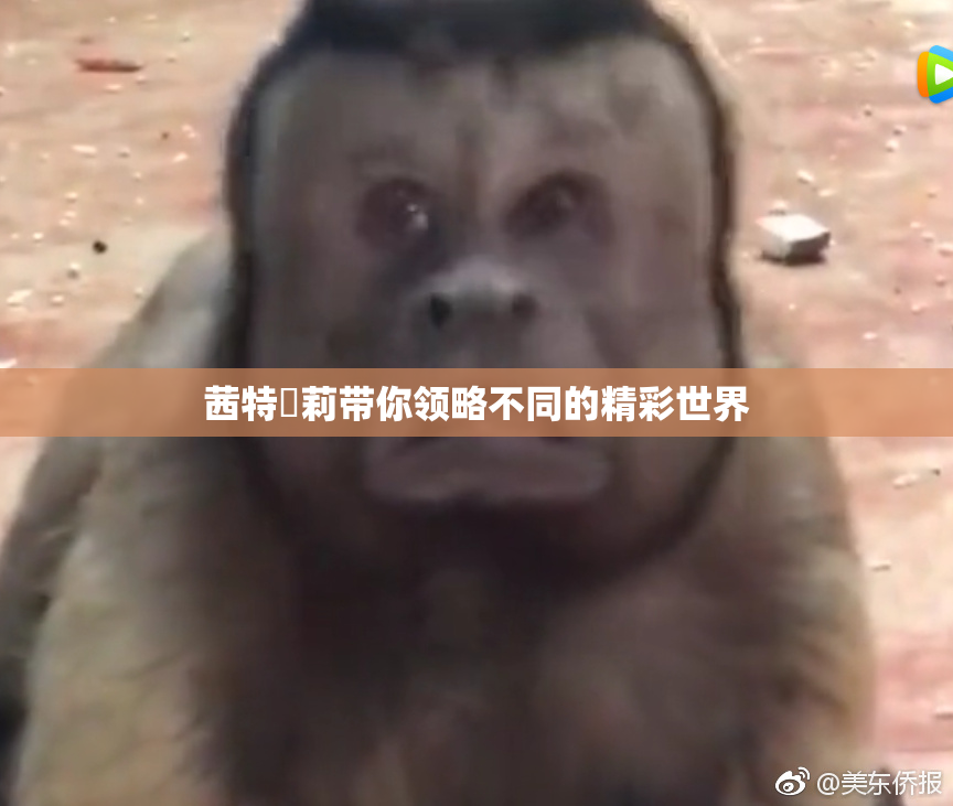 茜特菈莉带你领略不同的精彩世界