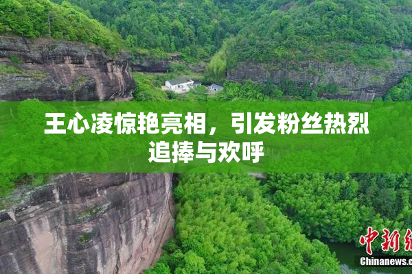 王心凌惊艳亮相，引发粉丝热烈追捧与欢呼