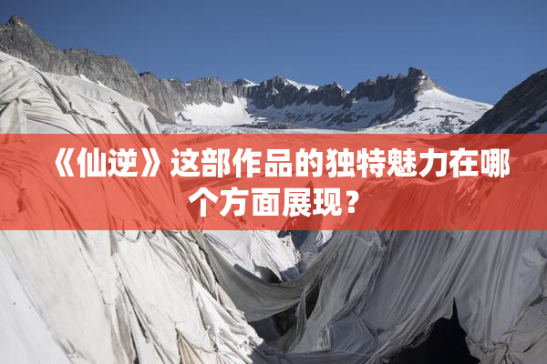 《仙逆》这部作品的独特魅力在哪个方面展现？