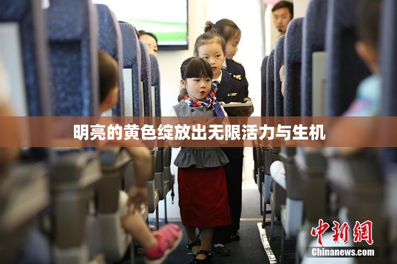 明亮的黄色绽放出无限活力与生机