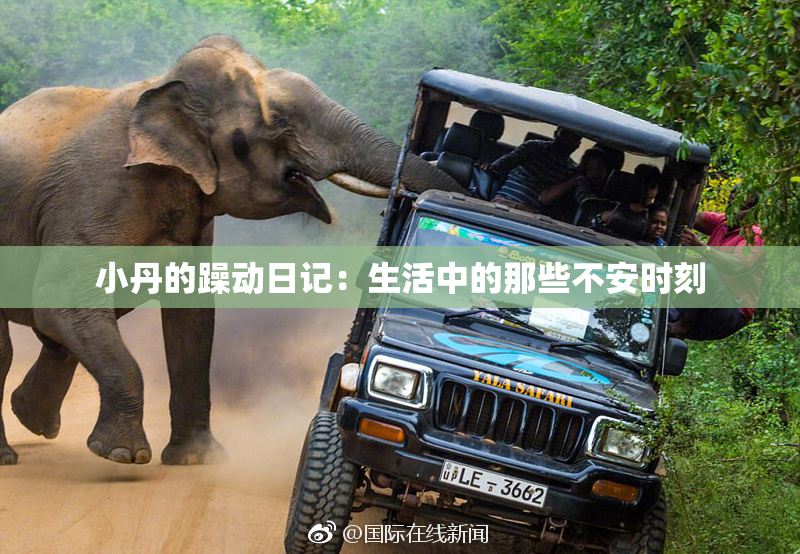 小丹的躁动日记：生活中的那些不安时刻