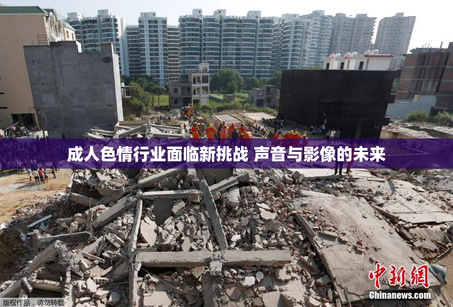 成人色情行业面临新挑战 声音与影像的未来
